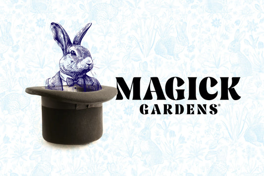 From Seed to Stardust: The Birth of Magick Gardens™