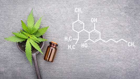 CBD 101